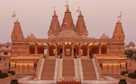 Best Co - Ed Schools In Nagpur : Cfore School Rankings