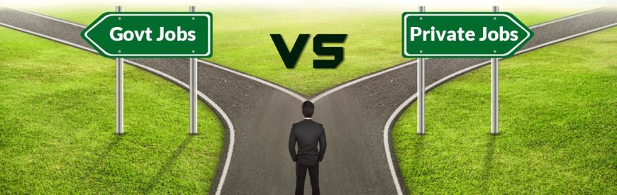 Government vs. Private Jobs: Which One Is Better for Your Career?