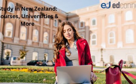 Study in New Zealand: Courses, Universities & More